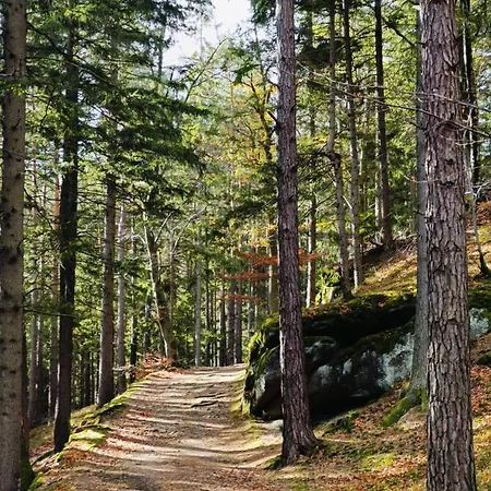 아파트 Nad Potokiem