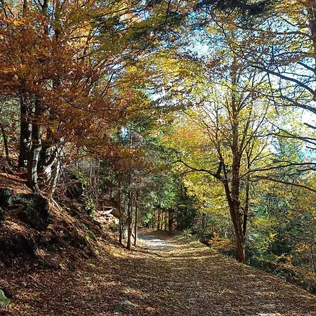 Nad Potokiem Piechowice (Karkonosze)