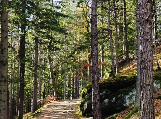 Lejlighed Nad Potokiem