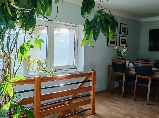 Nad Potokiem Piechowice (Karkonosze)