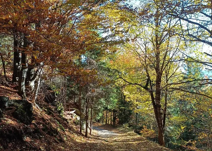 Nad Potokiem Piechowice (Karkonosze)